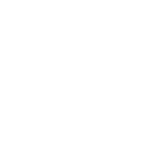 boss taxi białe