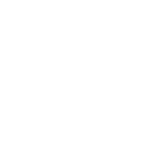 speed travel białe